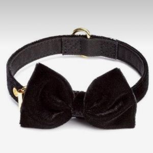 NWT Dog black and gold bow tie velvet collar